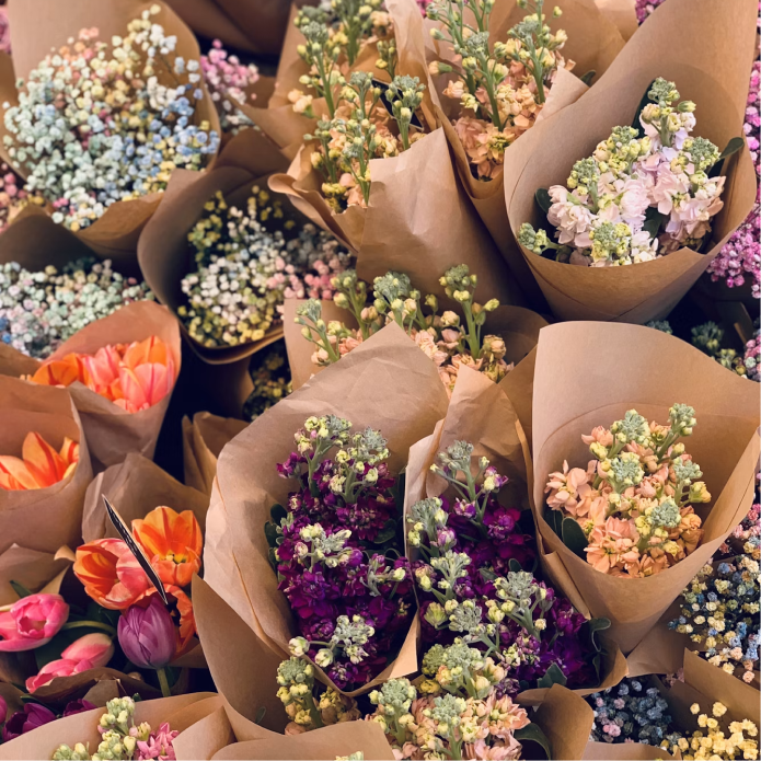 Flores e Plantas Visopoli