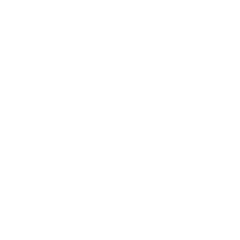 carrier Visopoli