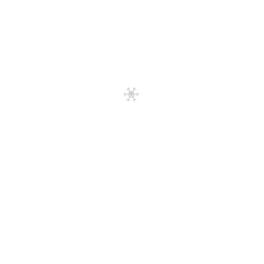 thermal master Visopoli